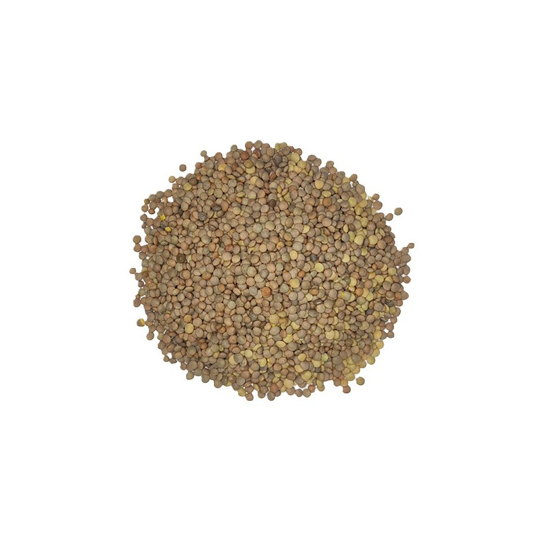 Pardina lentils, in bulk organic